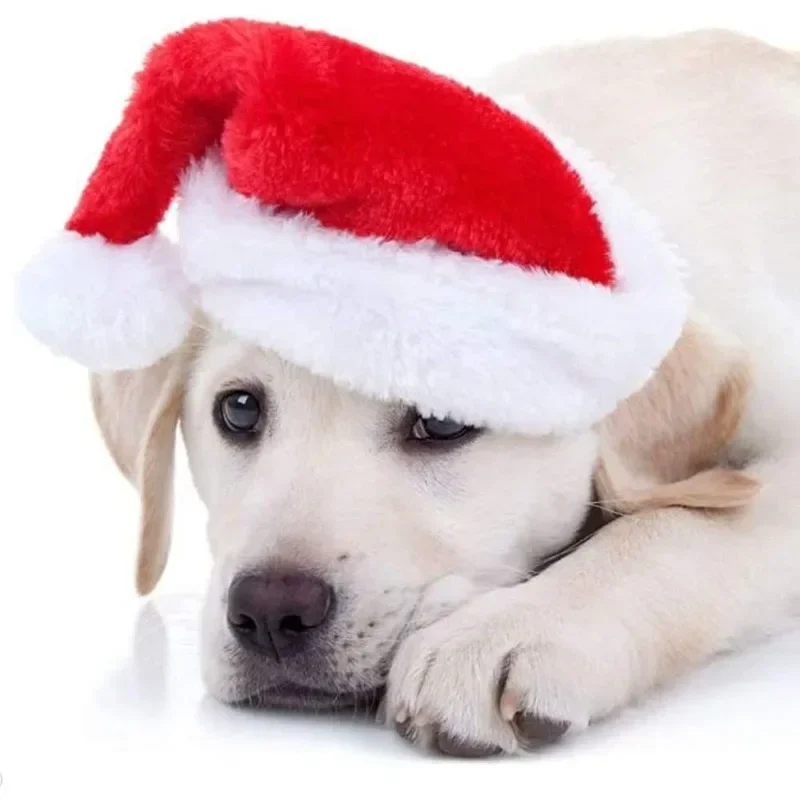 Christmas Pet Santa Hat Red Pl - Santa Hat Plush review and price