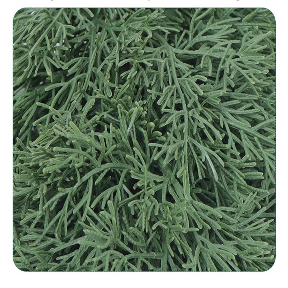 Green Artificial Pine Branch C - Christmas Tree Artificial review and price