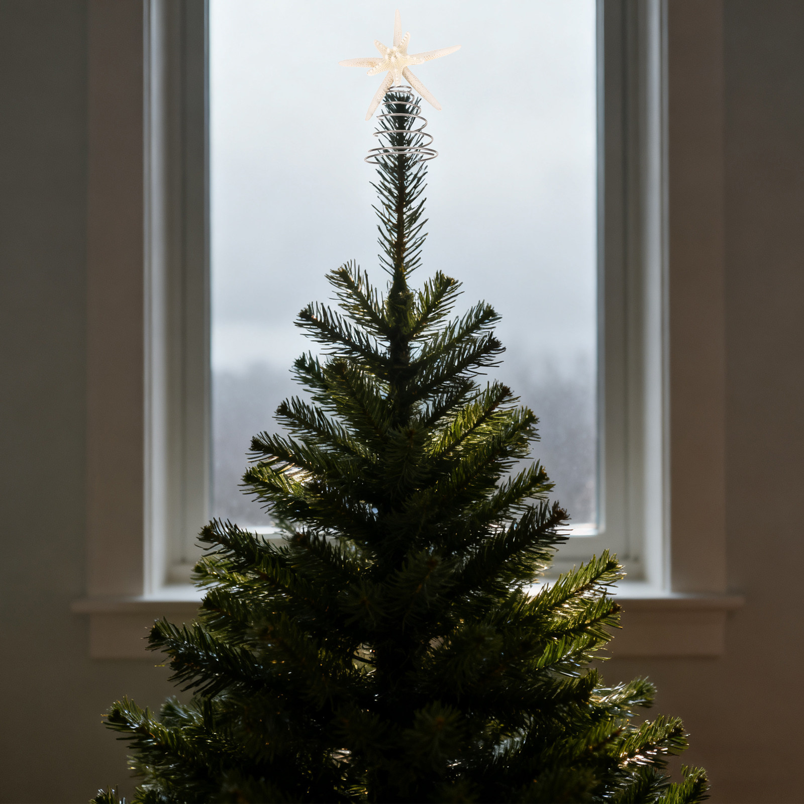 Coastal Christmas Tree Topper  - Star Tree Topper review and price